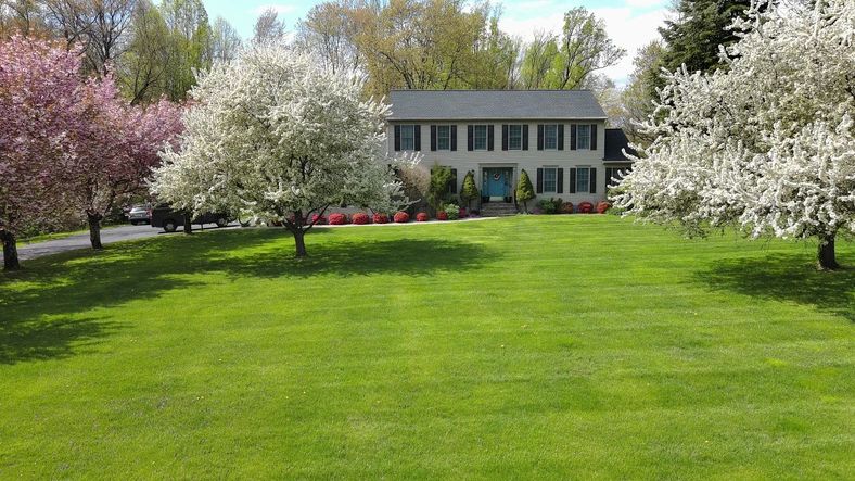 beautiful green lawn yard maintenance